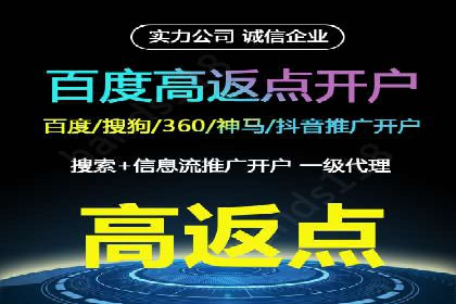 百度竞价托管外包案例：打造行业领军品牌